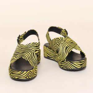 SUM LIME ZEBRA Size 6